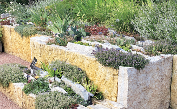 Rock garden with plants. (Photo by Heather Kirk-Ballard/LSU AgCenter)