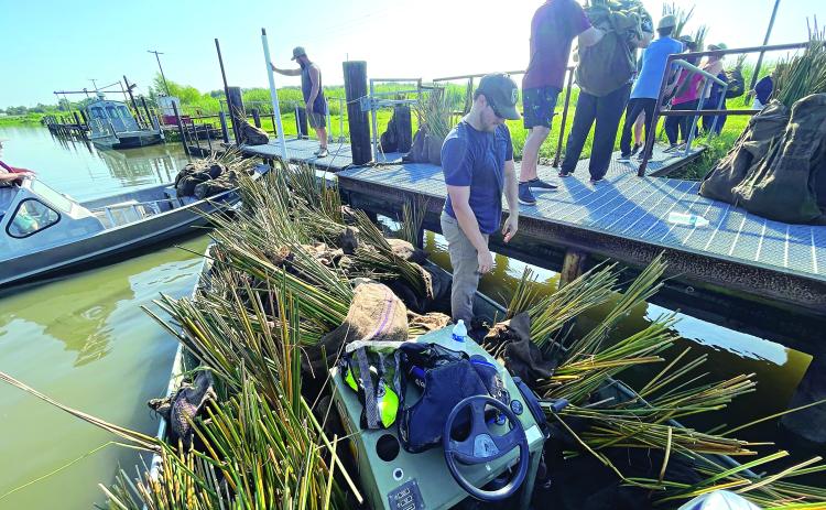 California Bulrush Plugs and Giant Cutgrass Plugs are being unloaded and placed into one of the boats for the water planting by Eunice High School FFA members. 