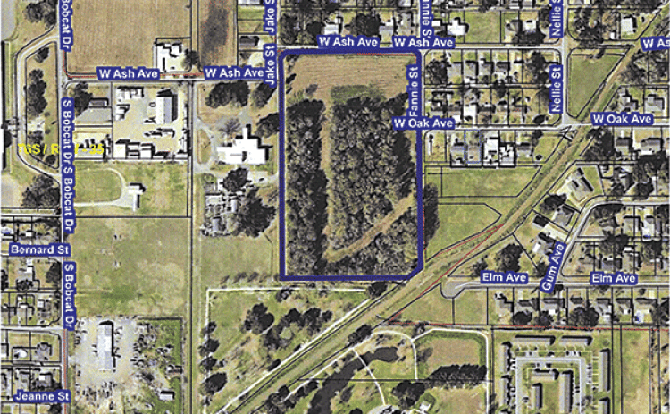 The defined area is property the city may buy located north of the Walking Park.