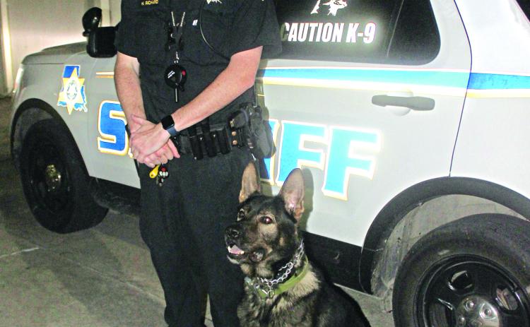 Acadia Parish Sheriff’s Deputy Hunter Richard and his K9 Deputy Django are one of the sheriff office’s two deputy-canine teams. Django is trained in narcotics detection and apprehension. (Photo by Claudette Olivier/Church Point News)