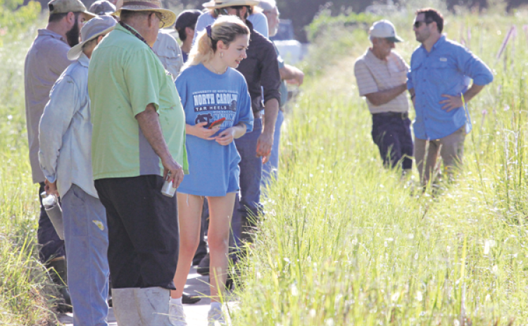 About 20 people attended the summer meeting of the Cajun Prairie Habitat Preservation Society on Saturday. A tour was held at the 10-acre Eunice Prairie site. (Photo by Harlan Kirgan)