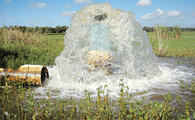 A field used for crawfish production is flooded. Some south Louisiana producers are concerned about salinity levels in their water, which have risen due to the drought this summer. This could pose problems when they flood fields in the coming weeks. (LSU AgCenter file photo)