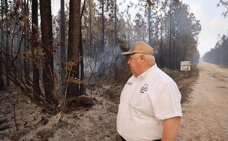 Louisiana Agriculture Secretary Mike Strain views smoldering trees from a portion of the Tiger Island fire in Beauregard Parish on Aug. 23. (Jenn Finley/La. Dept. of Agriculture and Forestry)