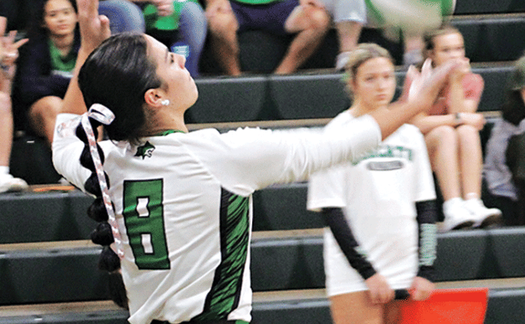 Brooklyn Darbonne serves the fall.  (Photo by Rhett Manuel)