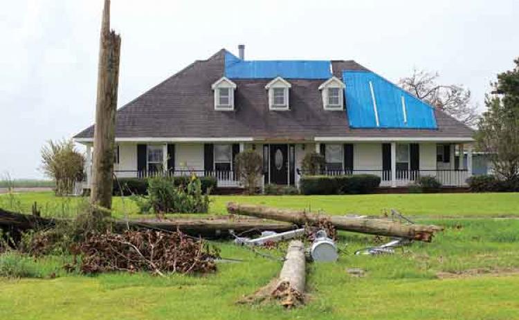 Downed power lines and leaning poles lie near a house with blue tarps on the roof after Hurricane Ida in St. James Parish, Sept. 8. (Photo by Olivia McClure/LSU AgCenter)