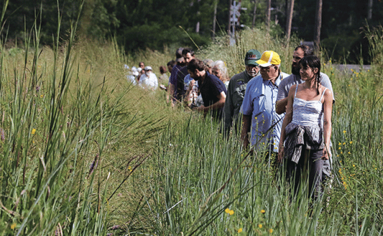The Cajun Prairie Habitat Preservation Society held its Fall tour of the site in Eunice on Saturday morning. About 40 people attended and saw a prairie in full bloom. At right, Matthew Boutte and  Margaret Frey stop  on the walk around the 10-acre site. The society was officially founded on May 22, 1989, by prairie enthusiasts including biologists Charles Allen and Malcolm Vidrine, who taught at LSUE.  Below is the Gulf Fritillary butterfly, the state butterfly. (Photo by Harlan Kirgan)