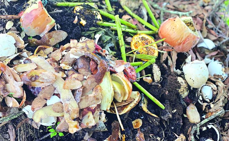 Composting kitchen scraps, yard waste and other organic materials not only reduces waste but also provides a nutrient-rich compost that can be added to the soil. (Photos by Heather Kirk-Ballard/LSU AgCenter)