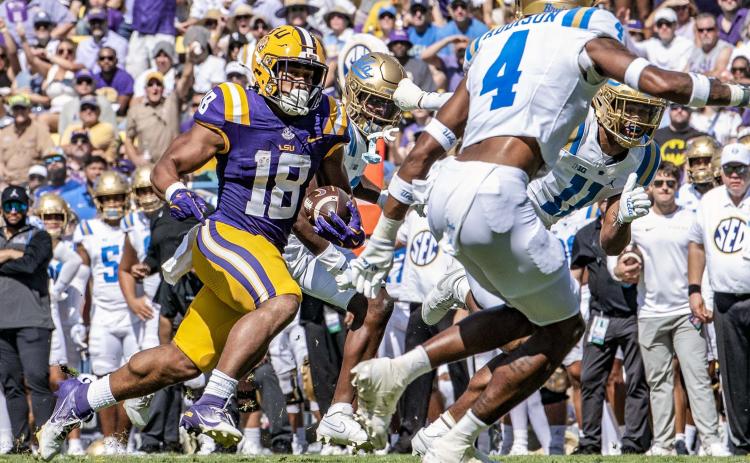 LSU Josh Williams. Photo by Dwight Jodon