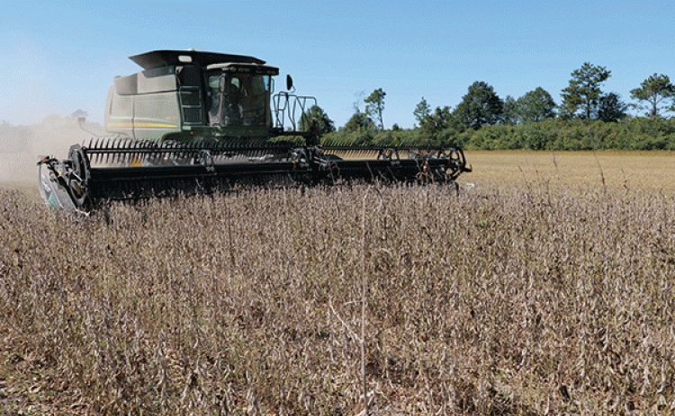 A soybean field being harvested. (Photo by Craig Gautreaux/LSU AgCenter)
