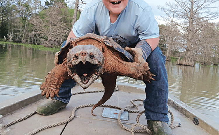 Colt Smith, 9, of Eunice, caught a 50 lb. snapping turtle on March 10 in the Jeff Davis Parish Swamp. Colt has been running catfish nets with his father, Sam Smith, a commercial fisherman, and this year began running a few nets of his own. (Submitted photo)