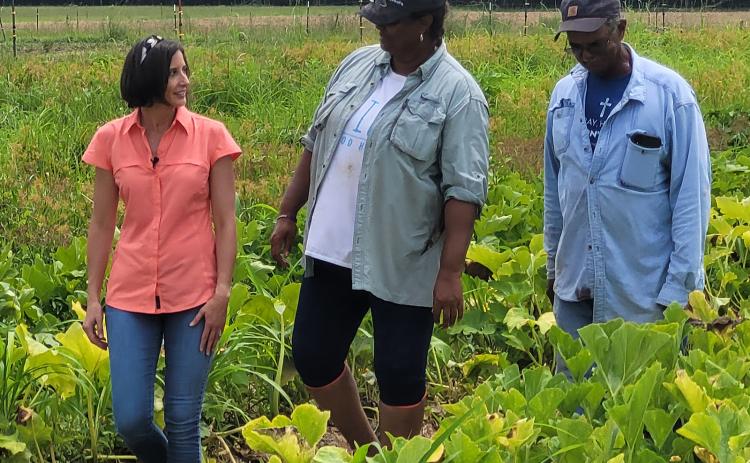Crystal Besse, left, director of the LSU AgCenter Louisiana Farm to School Program, walks through a squash field with Opelousas farmers Betty and John Chenier. Photo provided by the Louisiana Farm to School Program