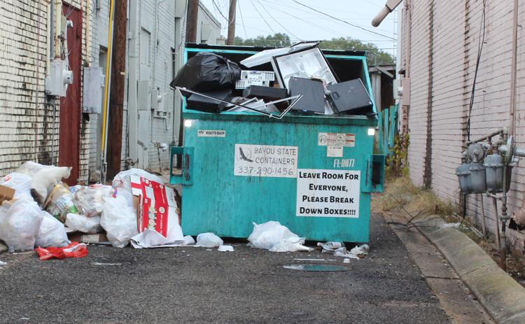 Donna Baltakis pointed out this overflowing trash bin in an alley on 2nd Street Wednesday morning. Baltakis is director of Keep Eunice Beautiful.