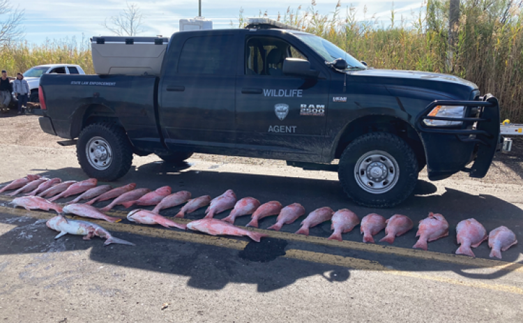 Louisiana Department of Wildlife and Fisheries enforcement agents display fish seized aft4er four people were arrested in Vermilion Parish on Dec. 1. (Submitted photo)