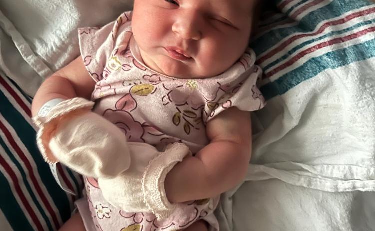 Harper Lynn Pridgeon