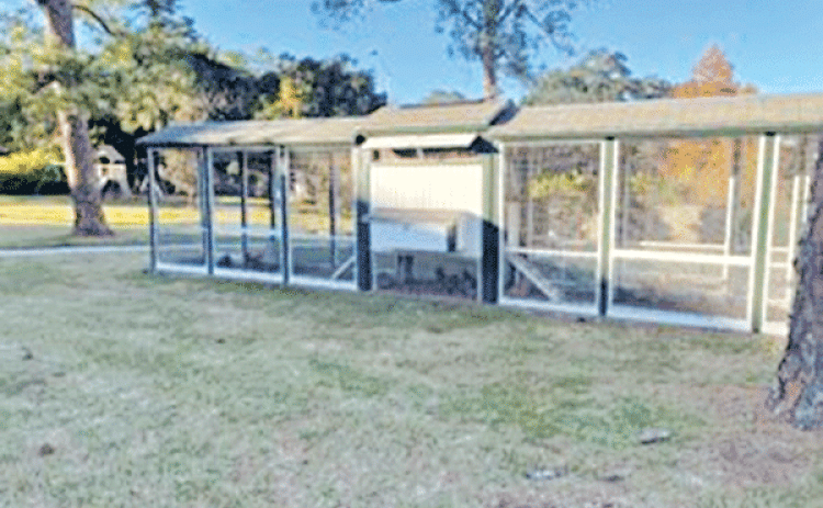 Gov. John Bel Edwards will leave his chicken coop and hens for Gov.-elect Jeff Landry when he leaves office. (Piper Hutchinson/Louisiana Illuminator)