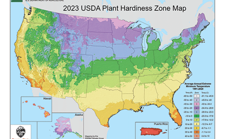 By Heather  Kirk-Ballard  LSU AgCenter  horticulturist  In November, the U.S. Department of Agriculture released its latest version of the Hardiness Zone Map. This mapping system categorizes geographic regions according to their average annual minimum winter temperatures. The map helps by assisting gardeners, horticulturists and landscaping experts in choosing plants suited to specific climates.   The USDA Hardiness Zone Map has a history dating back several decades, and it has undergone multiple revisions