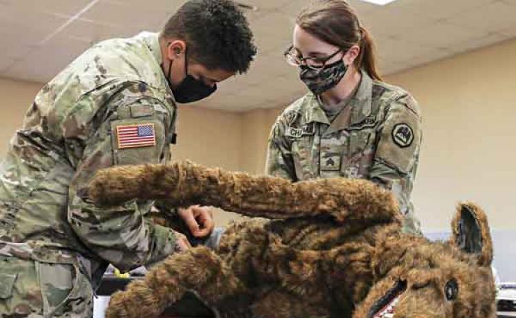 Louisiana National Guard Sgt. Karson Cormier, a medic with C Company, 199th Infantry Battalion, 256th Infantry Brigade Combat Team, applies a tourniquet to a simulated wound on a fake training K-9 during a K-9 Tactical Combat Casualty Care (TC3) course at Camp Beauregard in Pineville, Louisiana, Jan. 28, 2022. The K-9 TC3 course was part of a 10-day medic sustainment course for medics to recertify their National Registry of Emergency Medical Technicians (NREMT) and CPR certifications. (U.S. Army National Gu