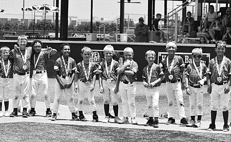 8U All-Stars team