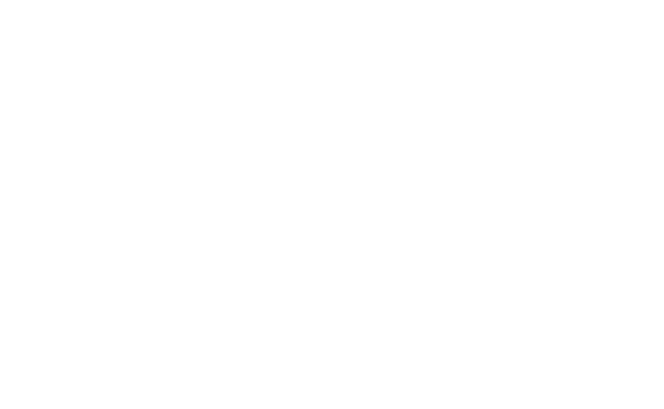 Nine Acadiana artists were announced on Friday as the 2024 cohort for Acadiana Center for the Arts individual artist funding program, ArtSpark.