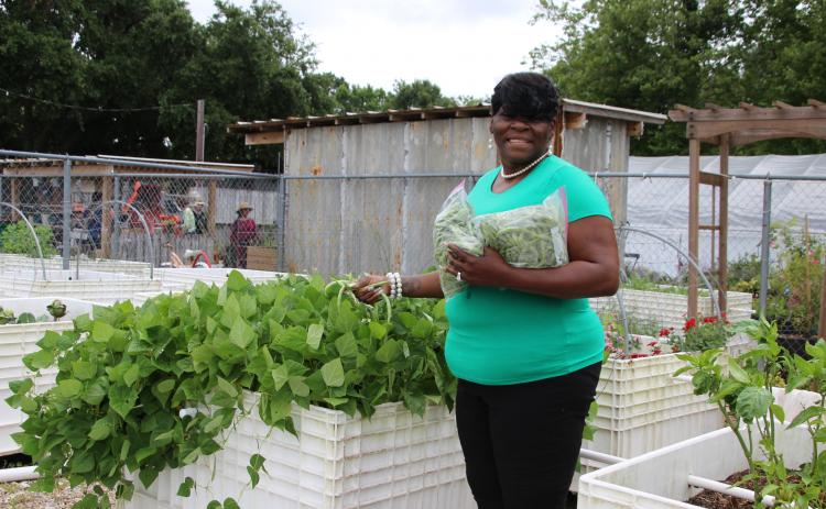 Bobbie Brown, coordinator of Sisters2Sisters, a local women’s needs shelter, accepts freshly growned snap beans from the Eunice Community Garden to give to others. The Eunice Community Garden has started a new program “Grow an Extra Row” as a vegetable garden outreach to give to others in the community. (Photo by Myra Miller) 