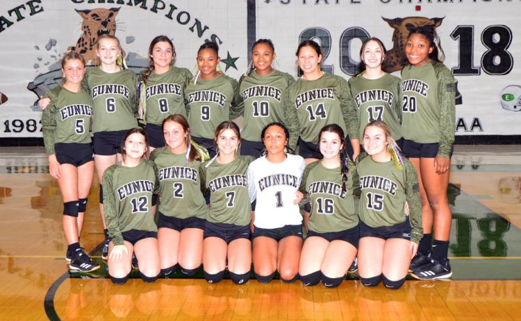 EHS Volleyball team