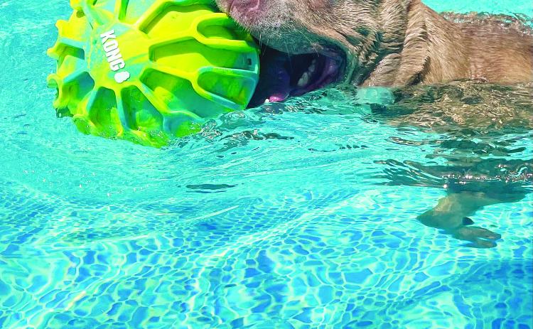 We want to see your pups!