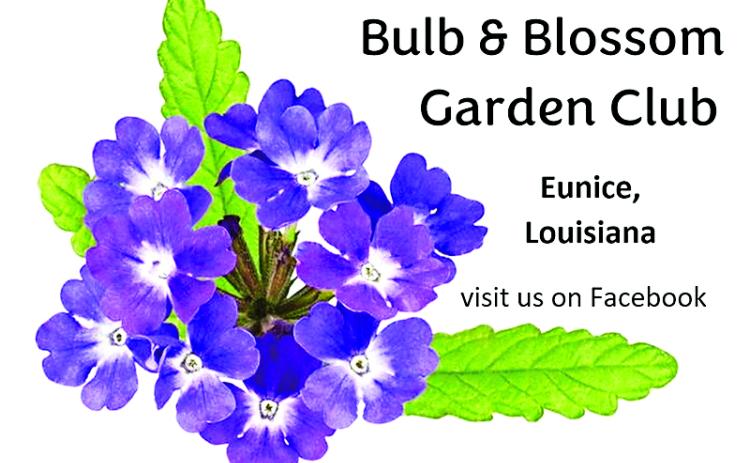 Bulb & Blossom Garden Club