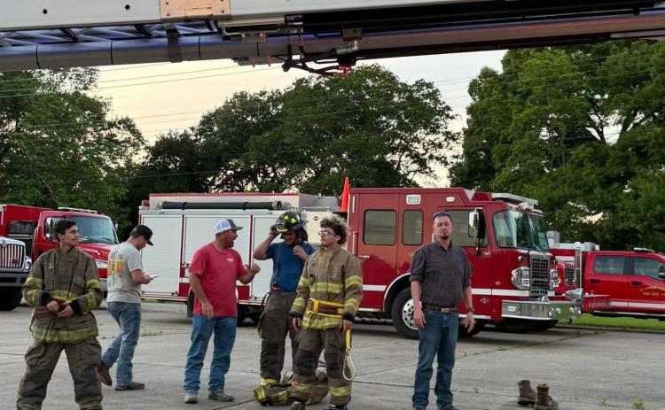 FD6 Training