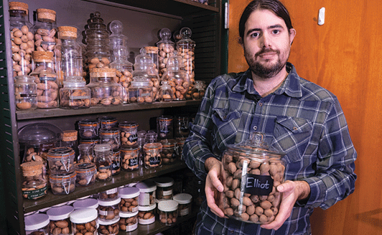 Michael Polozola, LSU AgCenter fruit and nut specialist, stands with his large collection of pecans. He is holding a jar containing nuts from an Elliot pecan tree. Elliot is one of the most popular varieties grown in Louisiana and one Polozola recommends for its disease-resistant qualities.