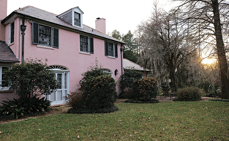 Trees and shrubs form the foundation of a landscape. Carefully choosing and placing these plants will help you build a landscape that suits your tastes and needs. (Photo by Randy LaBauve/LSU AgCenter)