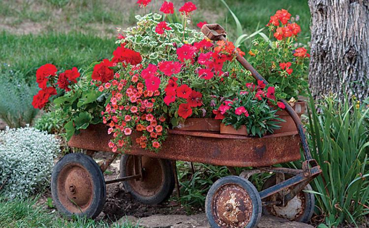 A new DIY (Do it Yourself) gardening column will appear twice a month in the Eunice News.
