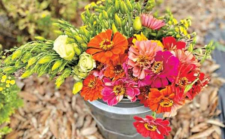 Cut flowers