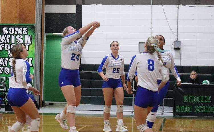 Lady Jays Volleyball