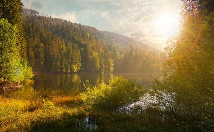 James Wallace Thibodeaux