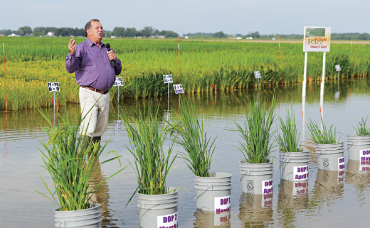 LSU AgCenter rice specialist Ronnie Levy describes the latest studies in the rice agronomy project during the 113th annual Rice Field Day at the H. Rouse Caffey Rice Research Station held recently at the Crowley facility. (Photo by Olivia McClure/LSU AgCenter)