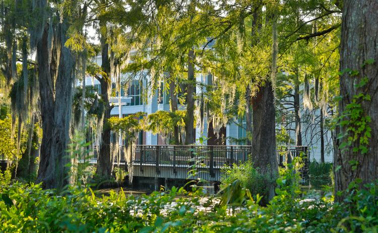 UL Lafayette campus