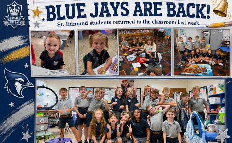 Blue Jays are back!