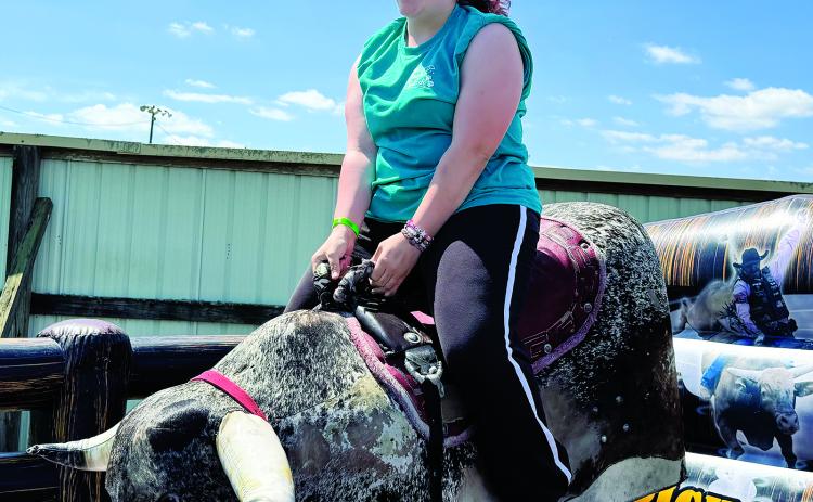 A bull rider