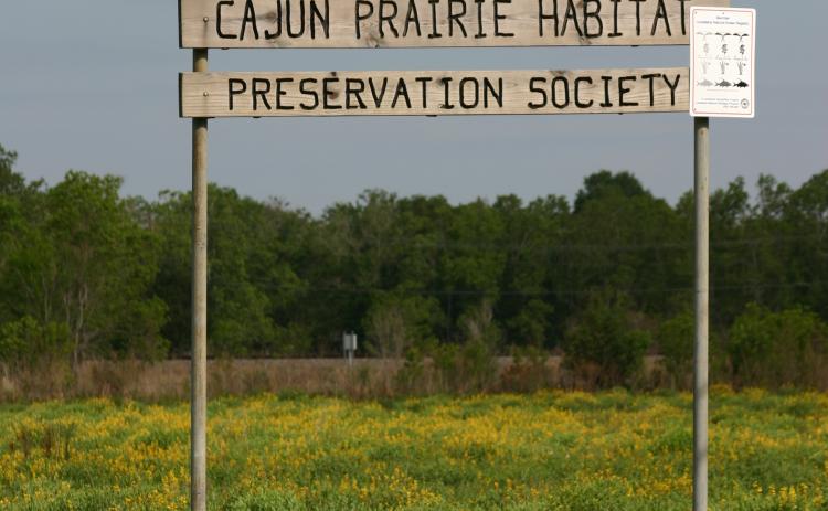 Cajun Prairie in Eunice.
