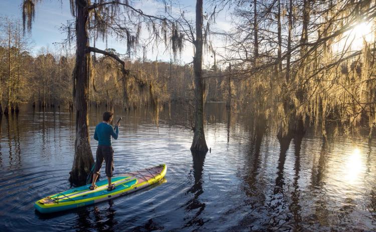 Chicot State Park