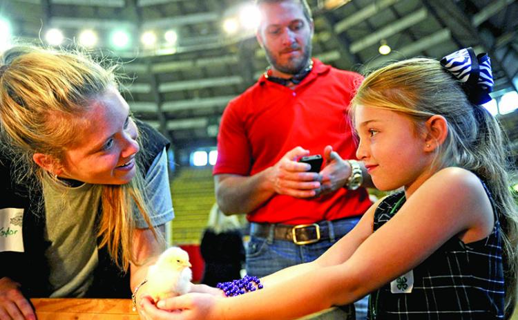 Children have a chance to hold baby chicks during AgMagic, an annual event that teaches them about Louisiana agriculture. (LSU AgCenter file photo)