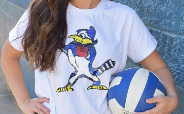 By Tom Dodge Sports Editor When the door opened,  Brittany Thibodeaux Comeaux was excited about the opportunity to be the next St. Edmund head girls volleyball coach. “I was thrilled there is an opportunity for me to coach at St. Ed’s,” she said. “I want them to have fun and yet be competive on the court.” A 2007 graduate of Pine Prairie, Comeaux was a multi-sport athlete for the Lady Panthers after starting her high school days at Chataignier High before consoliation. “My main sport was basketball but I al