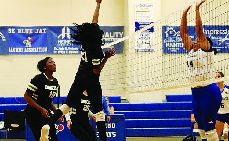 Eunice High Volleyball Versus St Ed's