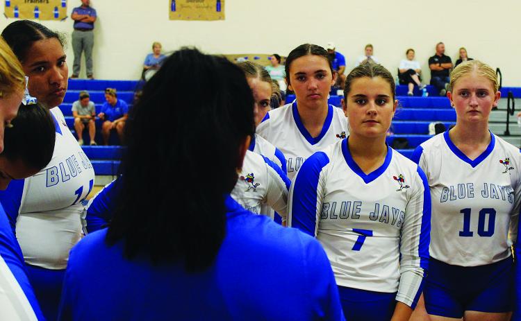 St. Ed's Lady Jays Volleyball