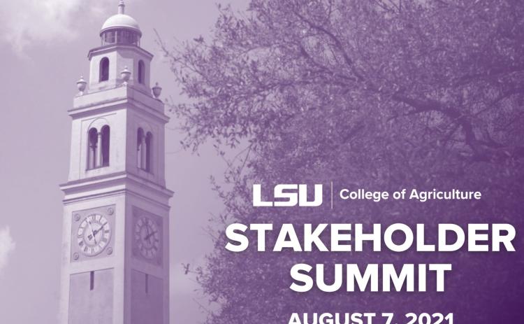 Stakeholder Summit